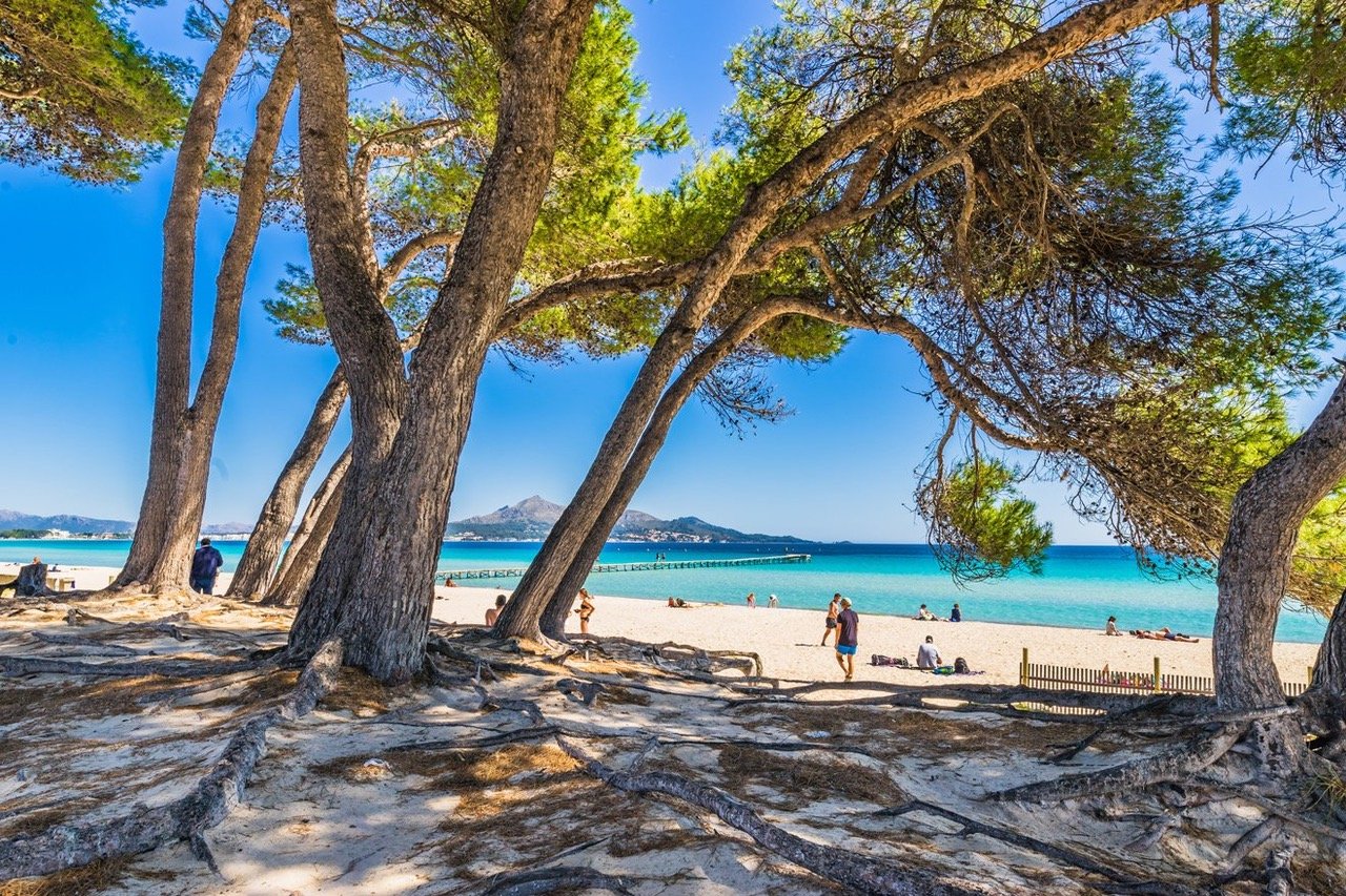 Bonaire en Alcudia Mallorca