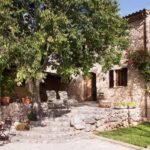 Fachada de piedra de Can Suau con trepadora en flor, escalera exterior y un gran árbol