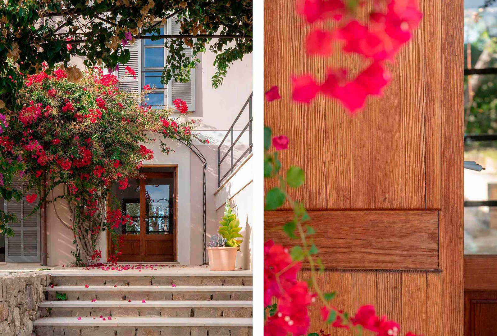 Entrada con bugambilia en flor y escalera de piedra, junto a detalle de la puerta de madera
