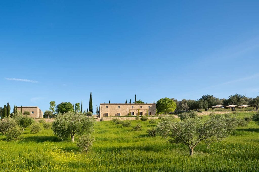 Vista general de la casa de piedra en lo alto de un prado verde con olivos y cipreses