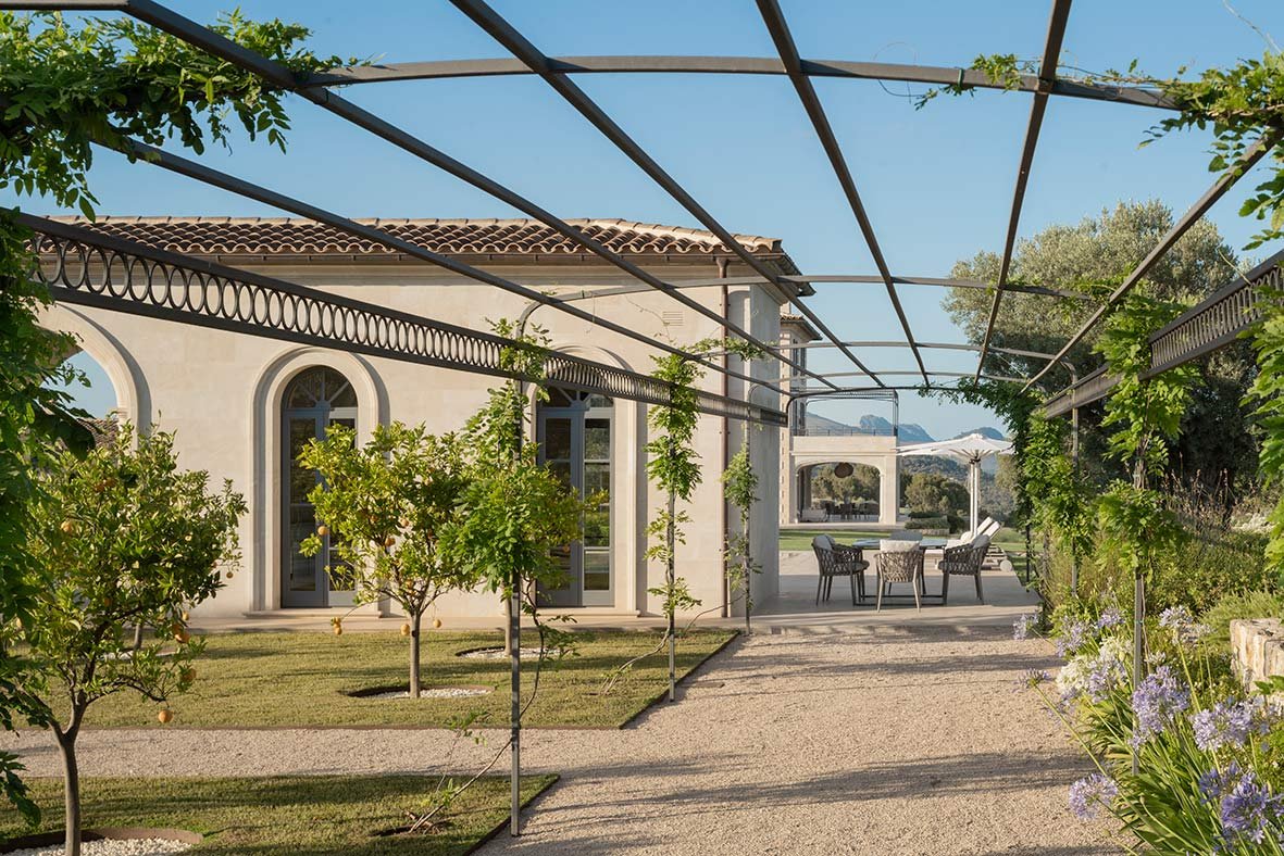 Camino de grava bajo pérgola metálica con enredaderas, cítricos, agapantos y terraza con mesa al fondo
