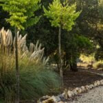 Jardín con hierba de la pampa, árboles jóvenes y camino de grava bordeado de piedras